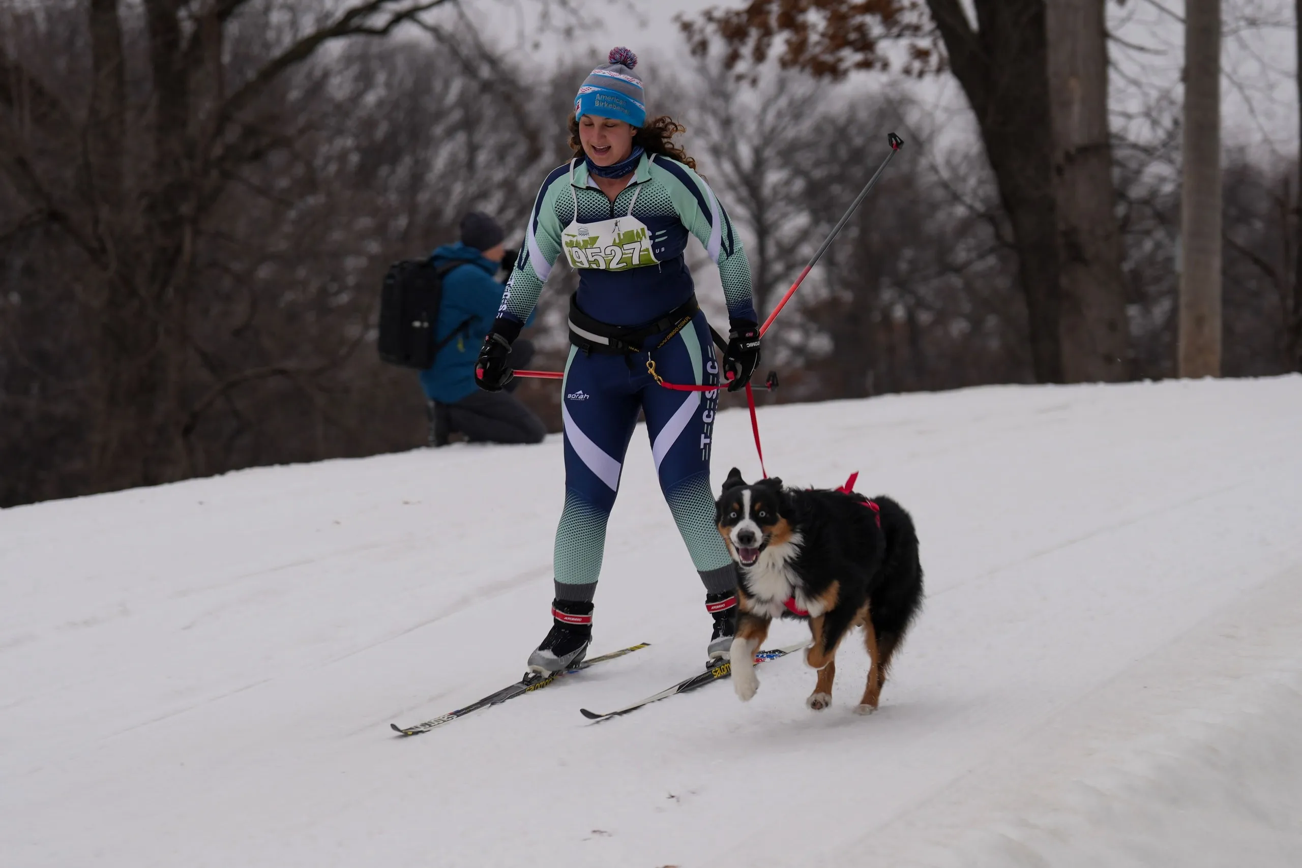 A member skijoring with their dog mid-race, bib 9527, in a TCSC suit on a snowy course